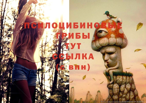 бошки Алексеевка